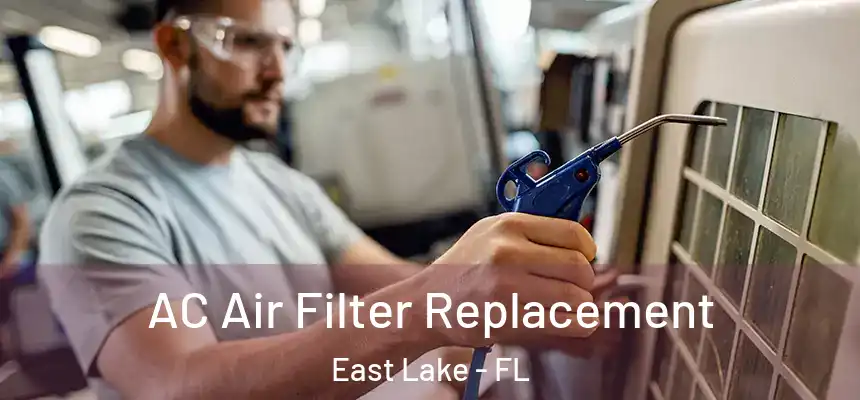  AC Air Filter Replacement East Lake - FL