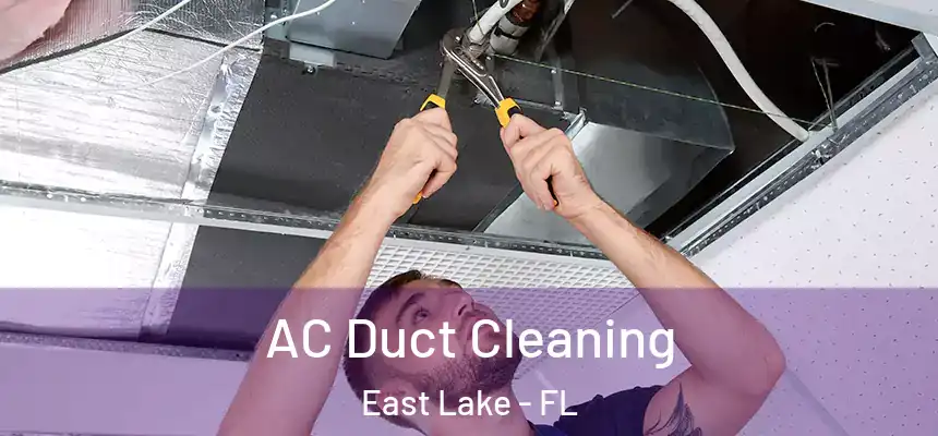  AC Duct Cleaning East Lake - FL