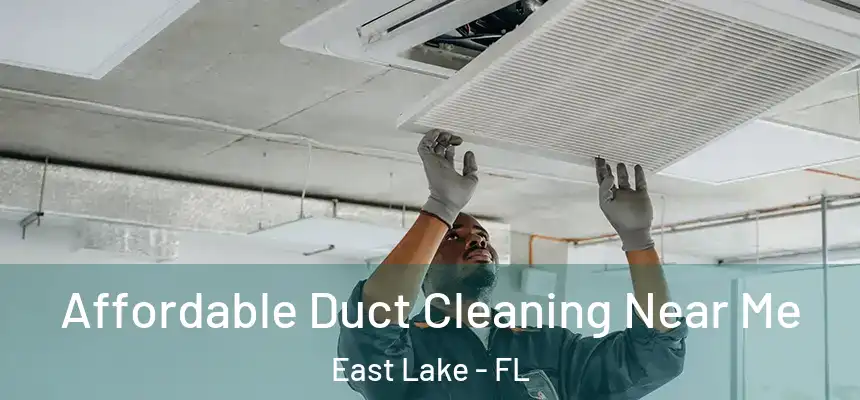  Affordable Duct Cleaning Near Me East Lake - FL