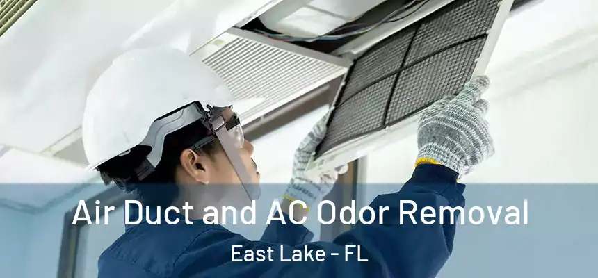  Air Duct and AC Odor Removal East Lake - FL