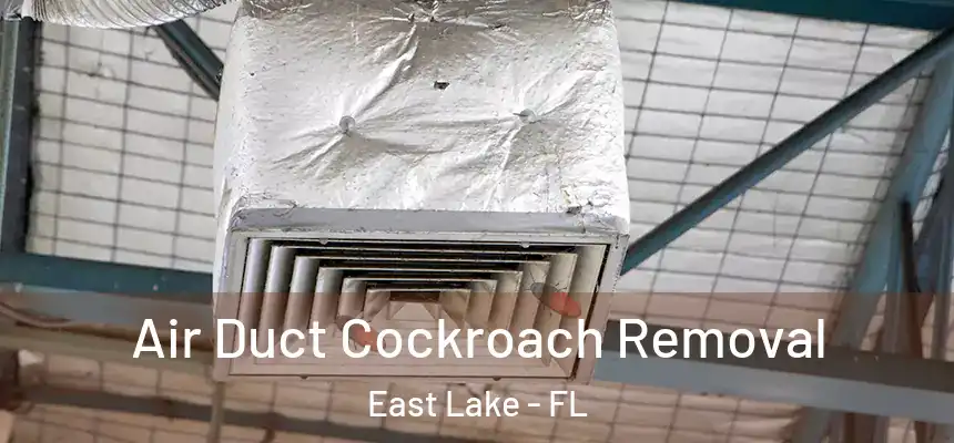  Air Duct Cockroach Removal East Lake - FL