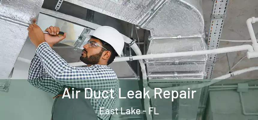  Air Duct Leak Repair East Lake - FL