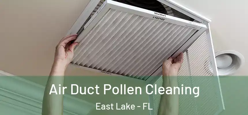  Air Duct Pollen Cleaning East Lake - FL