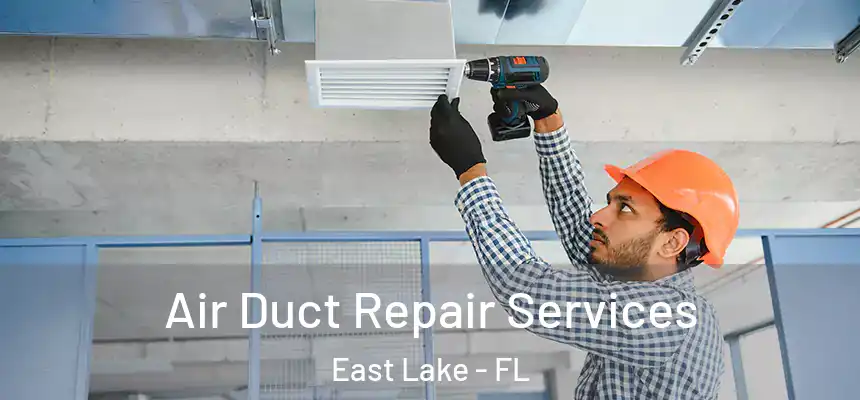  Air Duct Repair Services East Lake - FL