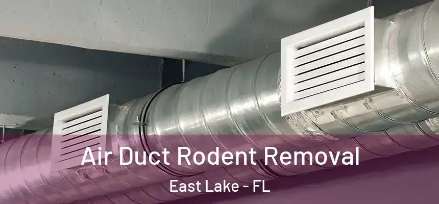  Air Duct Rodent Removal East Lake - FL