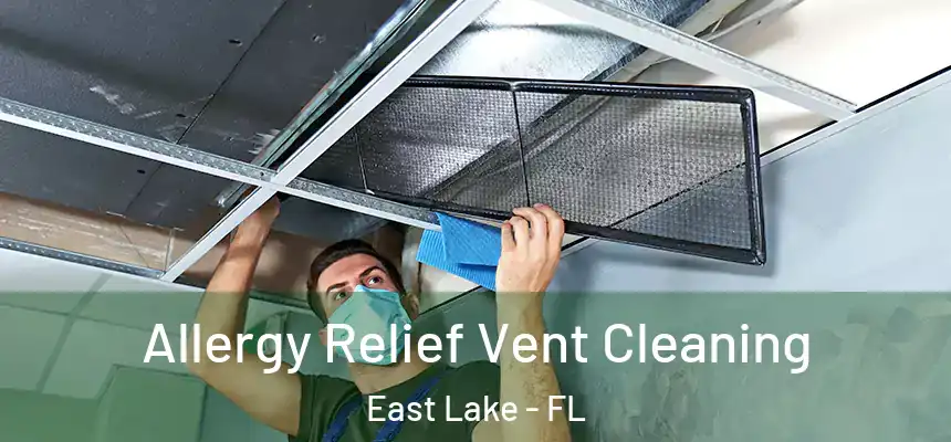 Allergy Relief Vent Cleaning East Lake - FL