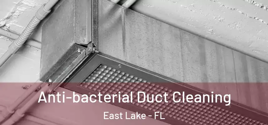  Anti-bacterial Duct Cleaning East Lake - FL