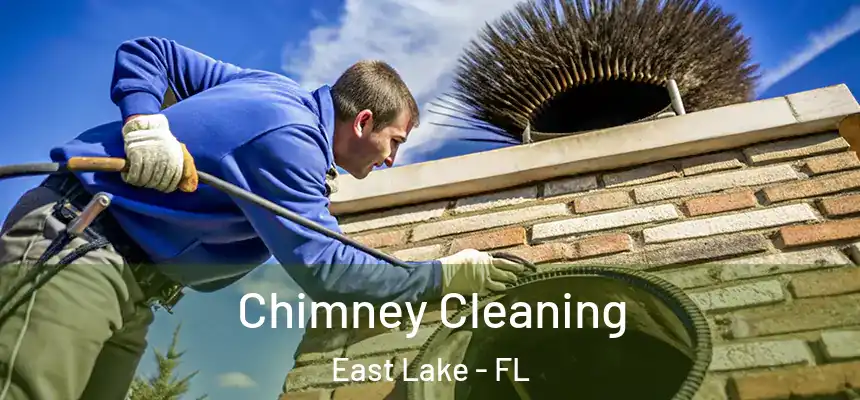  Chimney Cleaning East Lake - FL