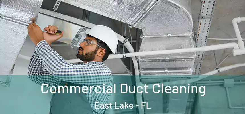 Commercial Duct Cleaning East Lake - FL