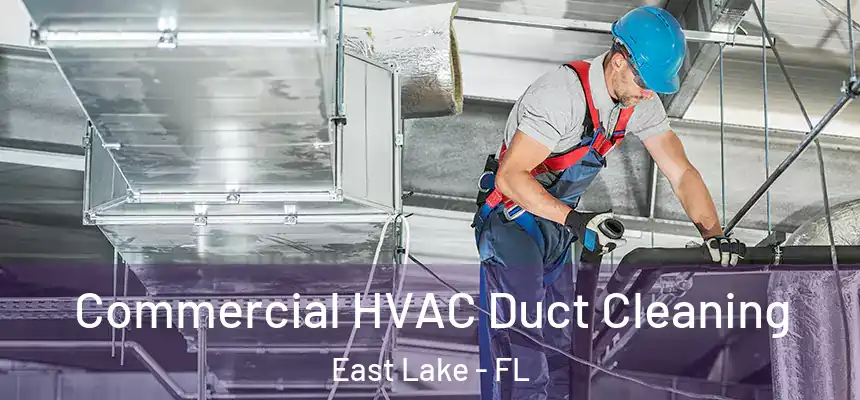  Commercial HVAC Duct Cleaning East Lake - FL