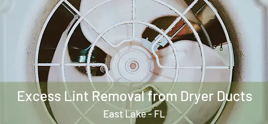  Excess Lint Removal from Dryer Ducts East Lake - FL