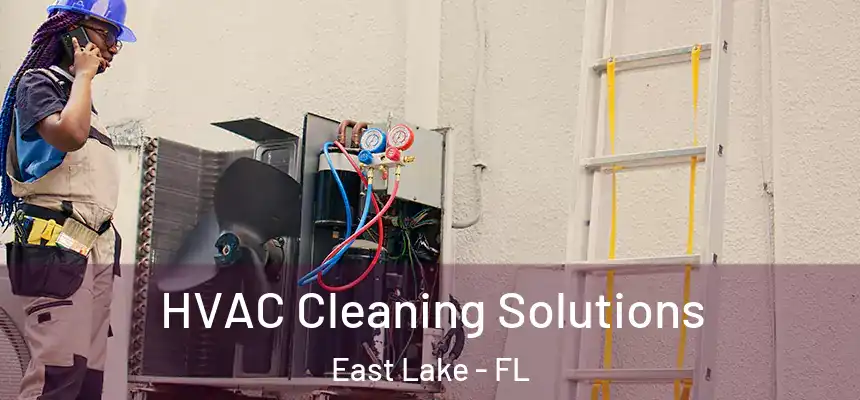  HVAC Cleaning Solutions East Lake - FL