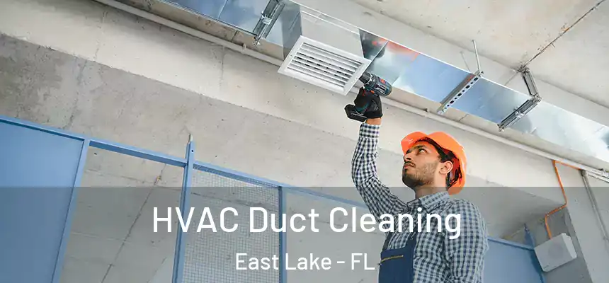  HVAC Duct Cleaning East Lake - FL