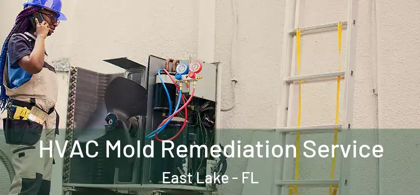  HVAC Mold Remediation Service East Lake - FL