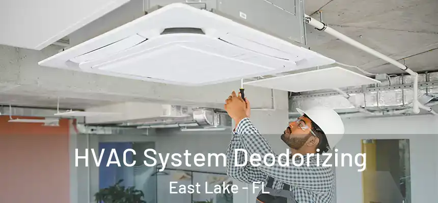  HVAC System Deodorizing East Lake - FL