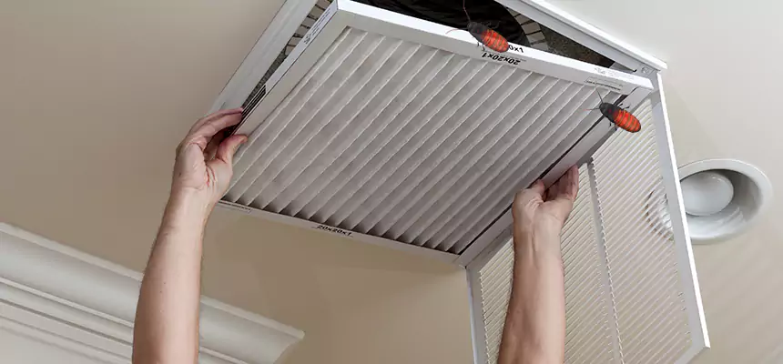 Preventive Cockroach-Proofing for Ducts in East Lake