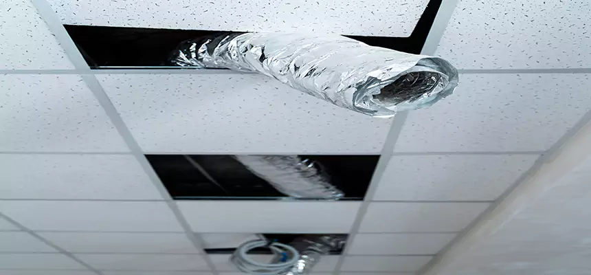 Affordable HVAC Sanitizing After Pest Removal in East Lake