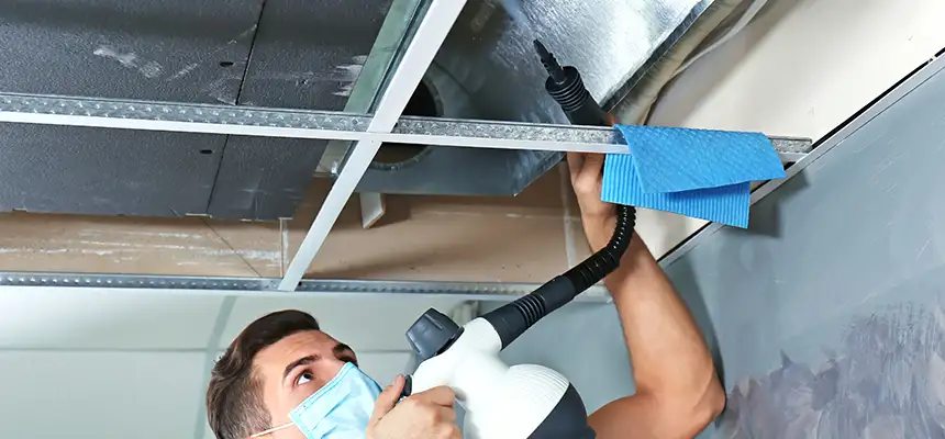Our Air Duct Rodent Removal Services in East Lake, FL