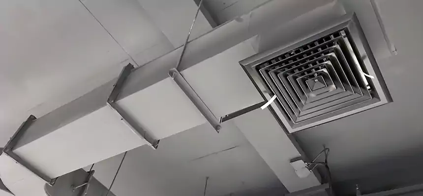 Restorative Allergy Relief Vent Cleaning – Coil, Blower & Housing Detail in East Lake