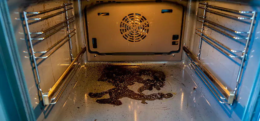 Our Dryer Vent Mold Cleaning Services in East Lake, FL