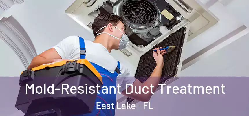  Mold-Resistant Duct Treatment East Lake - FL