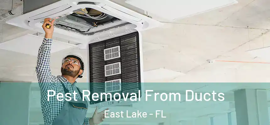 Pest Removal From Ducts East Lake - FL