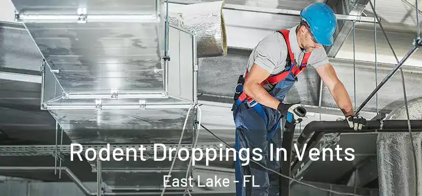  Rodent Droppings In Vents East Lake - FL
