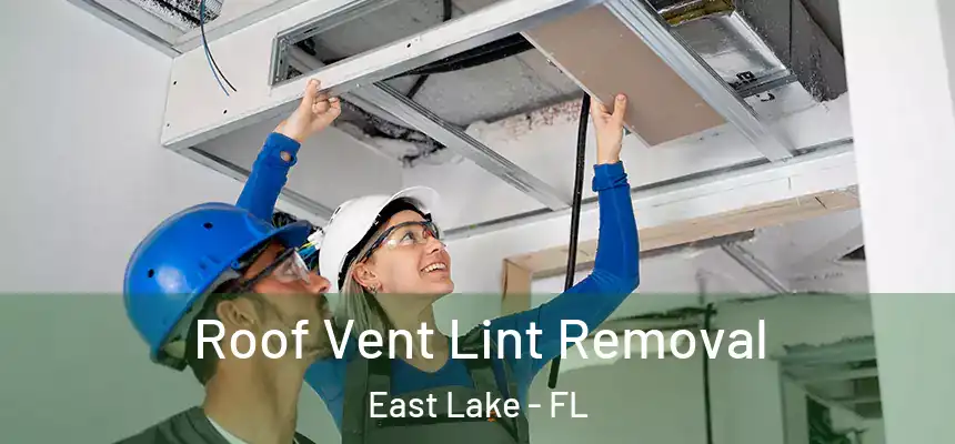  Roof Vent Lint Removal East Lake - FL