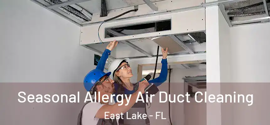  Seasonal Allergy Air Duct Cleaning East Lake - FL