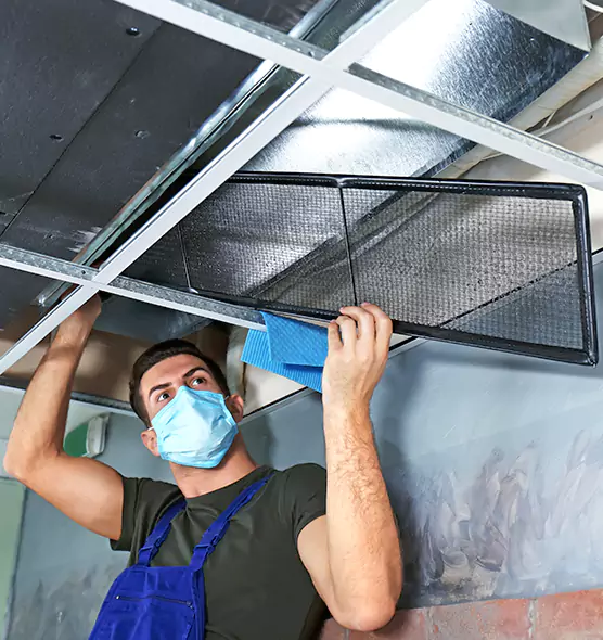 About Air Duct Bacteria Removal in East Lake