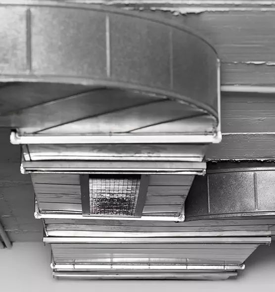 Professional Air Duct Pest Removal in East Lake, FL