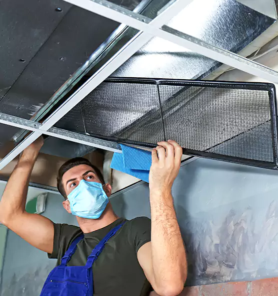 Professional Air Duct Pollen Cleaning in East Lake, FL