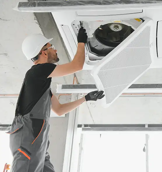 About Air Duct Rodent Removal in East Lake, FL