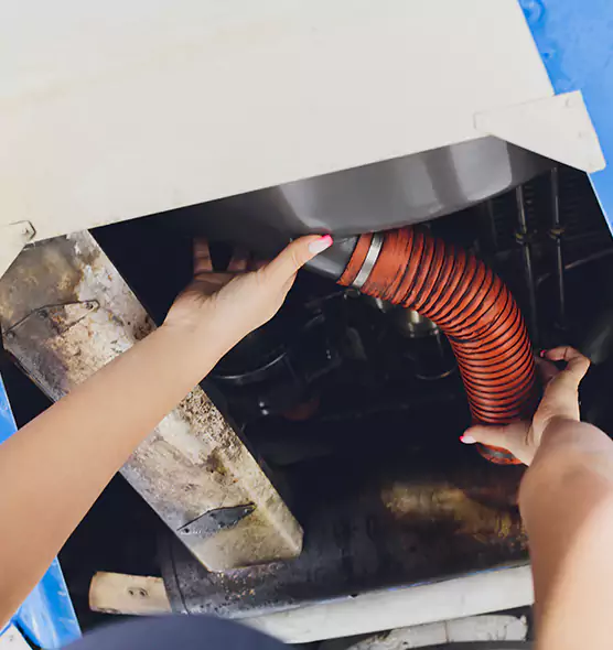 About Air Duct Virus Disinfection in East Lake, FL