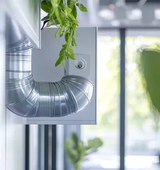 Professional Eco-Safe Dryer Vent Cleaning in East Lake, FL