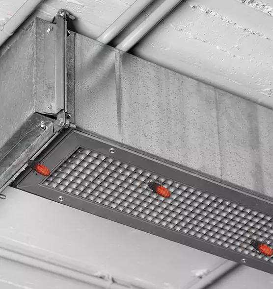 Affordable Insect Removal from Air Ducts in East Lake, FL