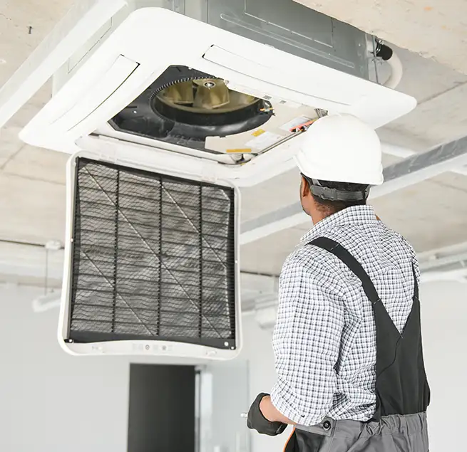 Why Homeowners & Businesses Trust Us in East Lake, FL?