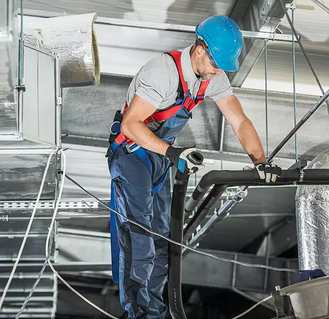 Why Homeowners & Businesses Trust Us in East Lake, FL?