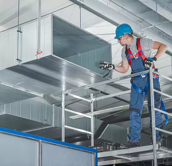 Why Homeowners & Businesses Trust Us in East Lake, FL?