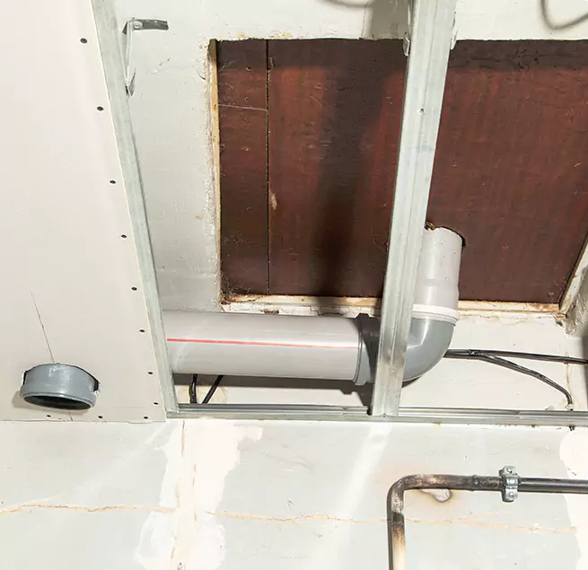 Why Homeowners & Businesses Trust Us in East Lake, FL?