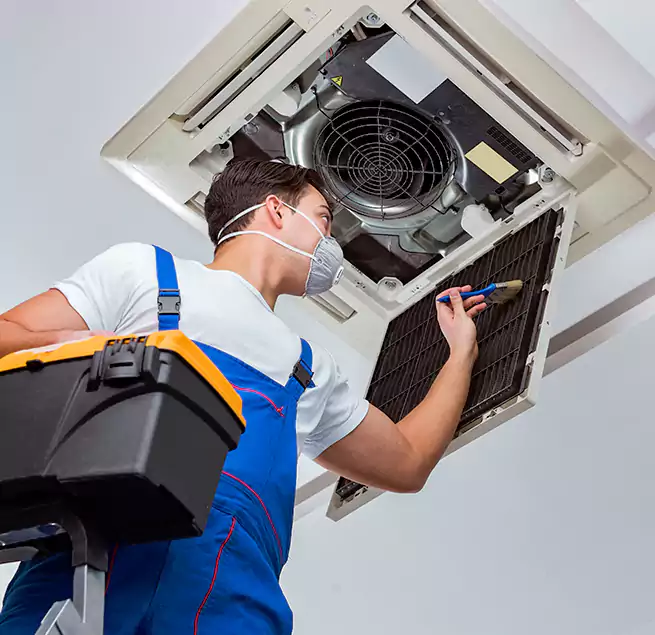 Why Homeowners & Businesses Trust Us in East Lake, FL