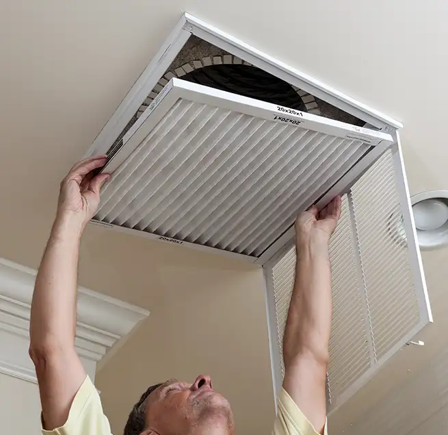 Why Homeowners & Businesses Trust Us in East Lake, FL?