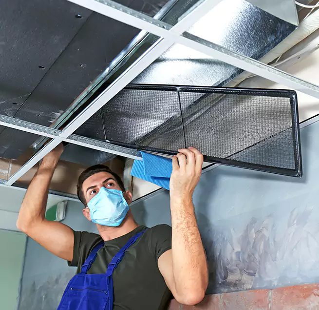  Why Homeowners Businesses Trust Us  in East Lake, FL?