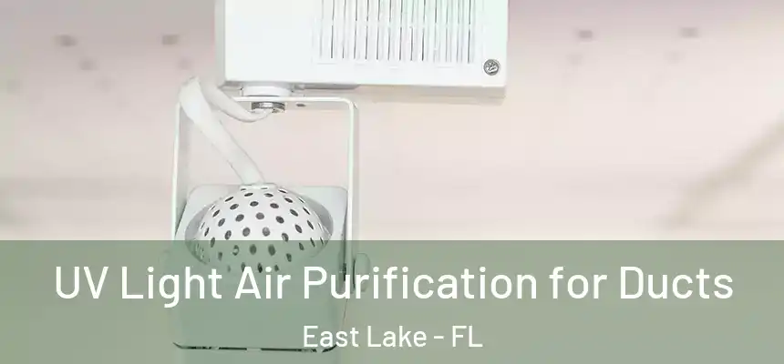  UV Light Air Purification for Ducts East Lake - FL